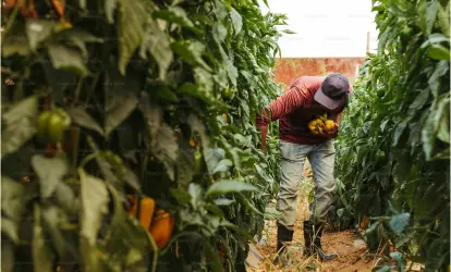 Agribusiness